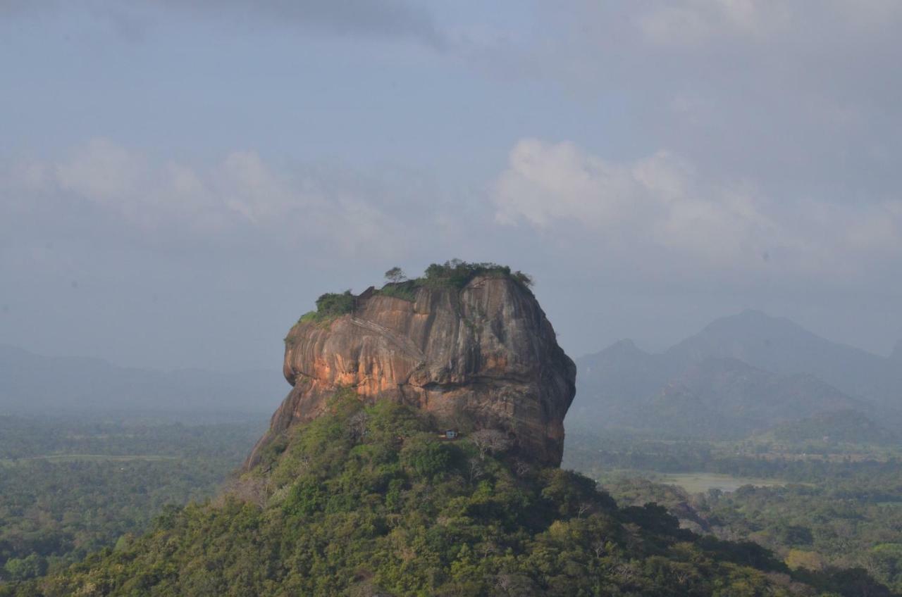Sigiriya King'S Resort Exterior foto