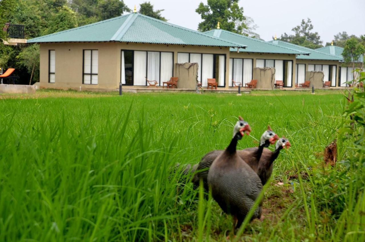 Sigiriya King'S Resort Exterior foto