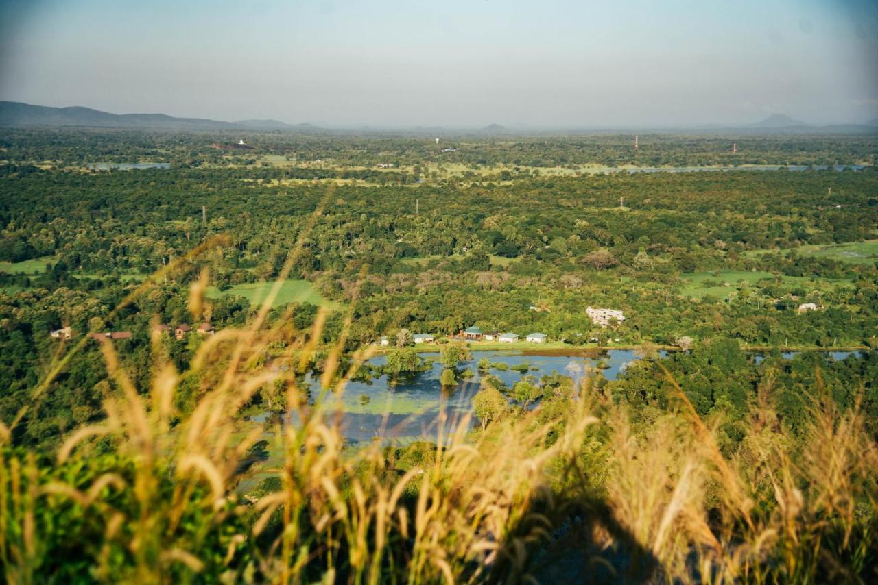 Sigiriya King'S Resort Exterior foto